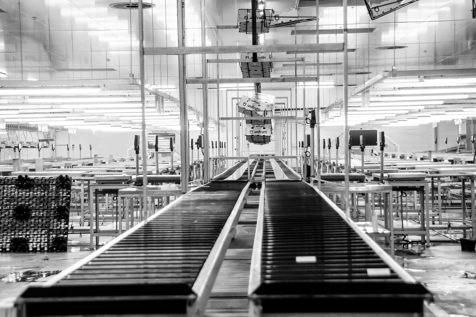 Long conveyor production line in a factory hall.