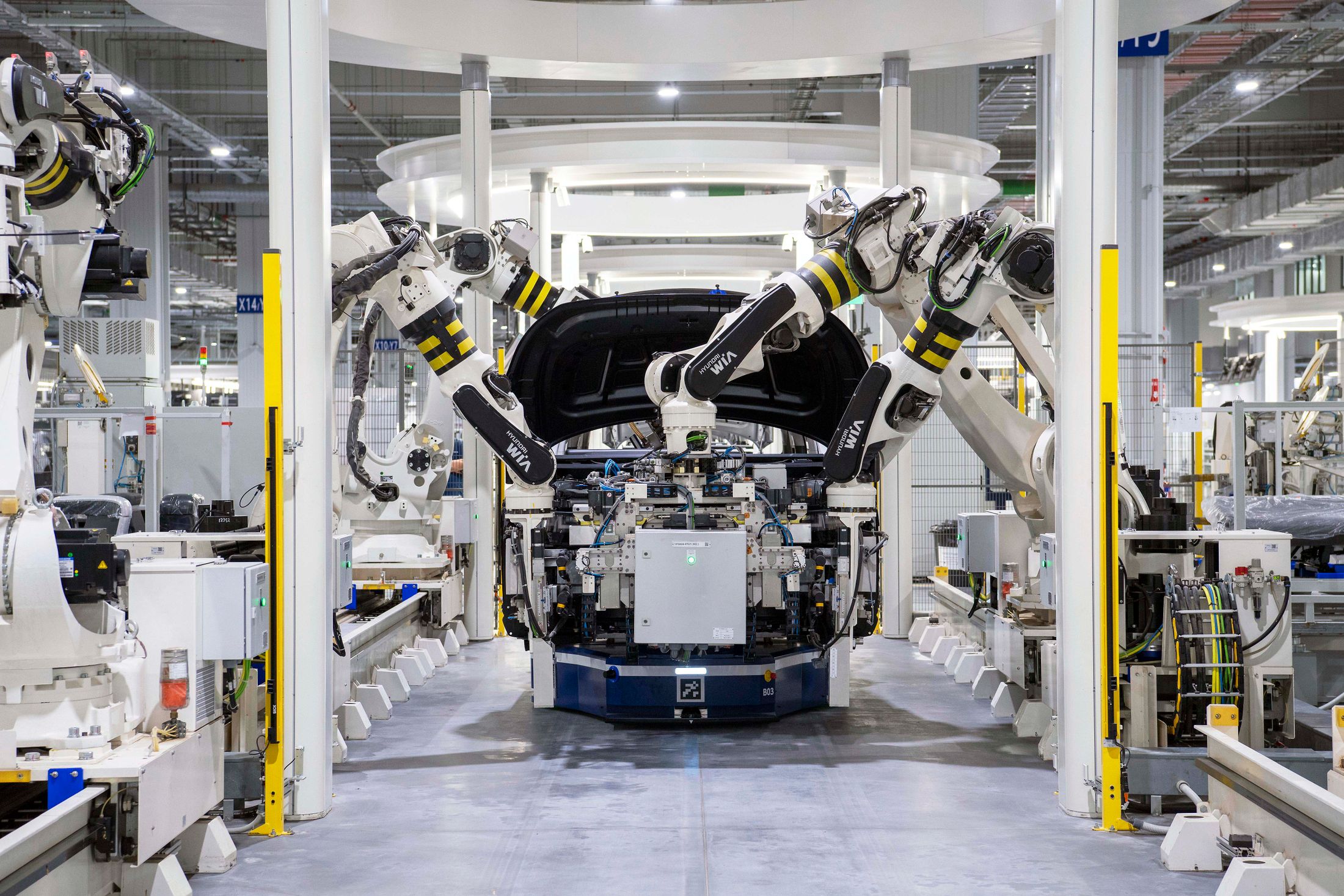 Robots and vehicle bodies on an automotive assembly line.
